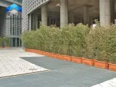 المجلفن الصلب الممشى صريف