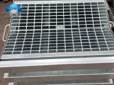 أستراليا صريف